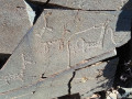 Cerro Negro  (115)