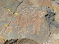 Cerro Negro  (236)