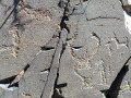 Cerro Negro  (118)