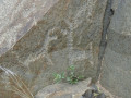 2012 02 Humahuaca (128)