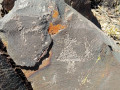 Cerro Negro  (230)