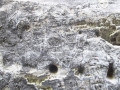 345900945-34