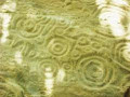 petroglifos de la Pedrera-
