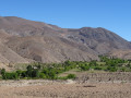 San Bernardo (558)