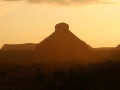 Tasso-Fragoso