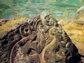 603435034-1113
