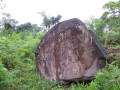 petroglifos-de-panguana2