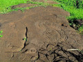 68356034-6034