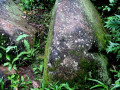 Petroglifos_9