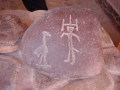 Miculla 2