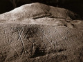 Roches gravees de la Carapa - Picture of Centre d Archeologie Amerindienne de Kourou