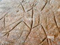 Francia, Kourou, Guayana Francesa, Centro de Arqueologia amerindia de Kourou, las rocas talladas de Carapa