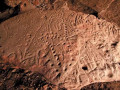 400-5505-42