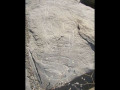 base_image (8)