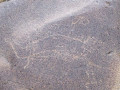 base_image (3)