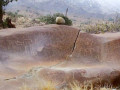 base_image (10)