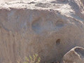 base_image (7)
