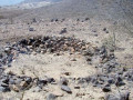 base_image (4)