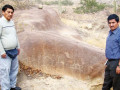 base_image (5)