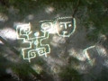 23954023-43