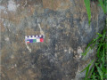 Imagen4