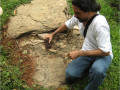 Imagen8