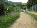 Imagen14