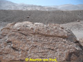 Petroglyphs-Alto-de-Pitis-southern-Peru-Photograph-C-by-Maarten