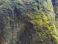 Petroglifos Paisaje Anolaima Cundinamarca