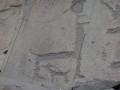 DSC04427
