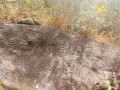 363405436-36340