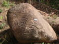 5554054-64390