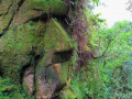 rostro_piedra_solo-para-viajeros
