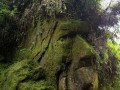 rostro_piedra