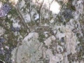 763404-440