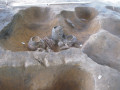 urnasamapa1