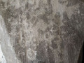 234333-4304