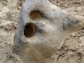 Gran roca erosionada existente en el cementerio de Pisquillo Chico