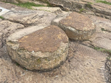 Исторический парк Лос Кохинес дель Сакуе