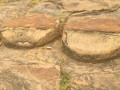 756070670