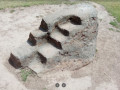 434069564
