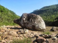 3340-34030034