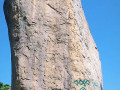 52354904-945900