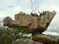 Pedra da Tartaruga - 9