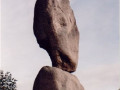9458560004