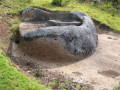 rw59394952