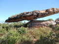 8568980474