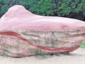 34543-534053