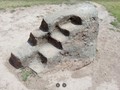 434069564