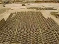 856979434606934